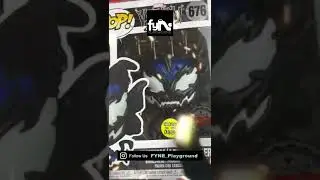 Funko Mystery Grail Box | Funko Pop Grail Hunting 