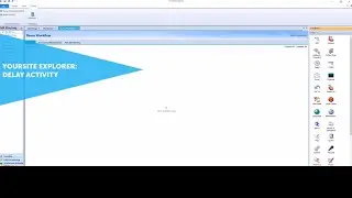 YourSite Explorer: Delay Activity: MiContact Center Business