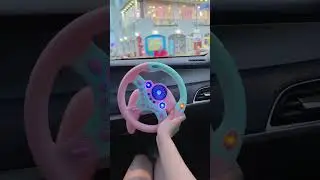 공주님의 운전 필수품  #kimpro828
