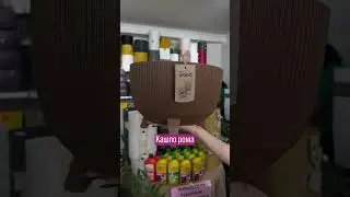 Экологически чистые горшки для цветов #сад #растения #семена