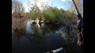 Ist time broke 65 pound braid on fish