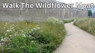 Tower of London Moat - Walking In History With Beautiful Flowers 🌼🏰