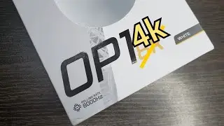 WE'RE BACK LOSERS!!! feat. Endgame Gear OP1 8K (But actually 4k)