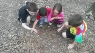 kids playing with a toad
