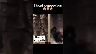Wait for the end 😂😂😂  #random #memes #ol #meme #funny #memesdaily #lol #dankmemes #shitposting