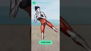 ➜ REDUCE Your 'DONUT BELLY' in Just 5 Weeks ➜ 30 minute STANDING Workout Exercises #19