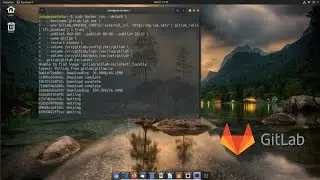 Gitlab on Docker Container