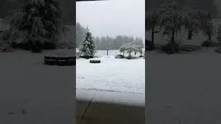 Winter Wonderland