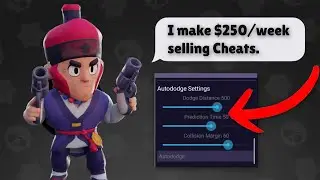 I interviewed The Owner Of A CHEAT Server in Brawl Stars