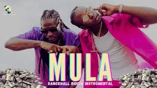 Dancehall Riddim Instrumental 2023 - MULA