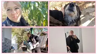 А почему бы не сварить на даче? Всё есть! Сельские будни