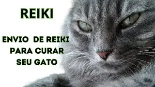 REIKI A DISTÂNCIA 