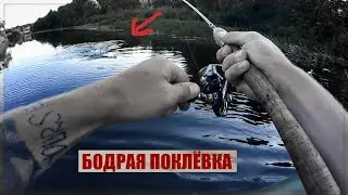 НА ЧТО КЛЮЁТ В ЭТОТ РАЗ? СПЛАВ, МАЛАЯ РЕКА.