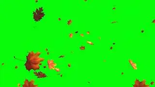 Autumn Leaves Green Screen Effect