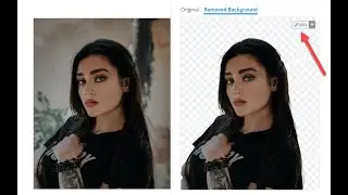 Come rimuovere online lo sfondo dalle foto con la AI