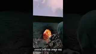 এভাবে খেজুরগুড় তৈরি হয়