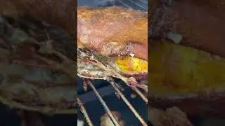 Завтра полный ролик ТЕРПУГ и СКУМБРИЯ - маринад под коптильню🐟 
