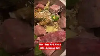 How I Feed My 8 Month Old XL American Bully (RAW DIET)