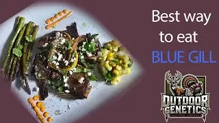 {(BLUE GILL)} Catch and Cook