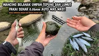 MANCING BELANAK UMPAN TEPUNG DAN LUMUT BAHAN MUDAH DIDAPAT!! Mancing ikan belanak teknik kumbul