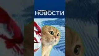Получил 1М через неделю 💵 