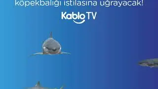 National Geographic WILD!