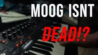 BEST BUDGET MONOSYNTH IN 2026? Moog Messenger