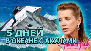 Выжили после кораблекрушения и провели в океане 5 дней среди нападавших акул