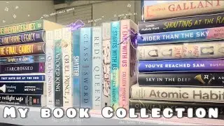 My Book Collection | Showing every book I own (2024)📚