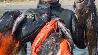 Menangkap banyak ikan didasar laut