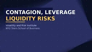 Panel: Contagion, Leverage and Liquidity Risks | Volatility and Risk Institute Conference 2025