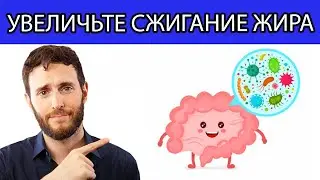 ЛИПОЛИЗ. ПОЧЕМУ ВЫ НЕ СНИЖАЕТЕ % ЖИРА