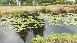 Вода.Огонь.Релакс.