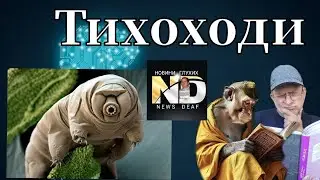 Тихоходи