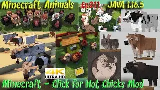 Minecraft Click for Hot Chicks Mod Showcase JAVA 1.16.5 Minecraft Animals Ep211