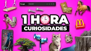 ¡1 HORA De DATOS CURIOSOS y COSAS QUE NO SABÍAS! ⏰😲 #28