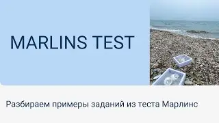 Марлинс тест  Примеры заданий