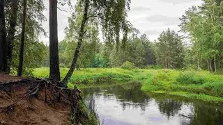 Детский поход - посвящение в туристы.