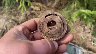 Сначала Рога а потом ЛОСЬ!!!Лесные жители встречают лесного скобаря!!!!!!