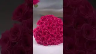 🌷🌷🌷 