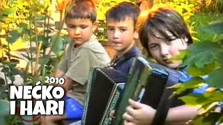 Nećko i Hari - Hajde brate da se oženimo (Official 2010)