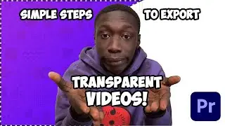 Simple Steps to Export Transparent Videos in Premiere Pro