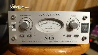 Avalon M5 Single Channel Solid State Mic Preamp Quick n' Dirty