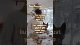 Dog Quotes