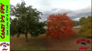 Nazgul5 V2 First Flight Enjoying the fall colors!