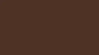 Dark Brown Screen / 4K Relaxing Screensaver ( No Sound )