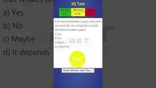 Analogy test 