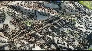 Zirai ilaclamayi lütfen akşam yapın gündüz yapılan zirai ilaclamadan sonra arıların hali