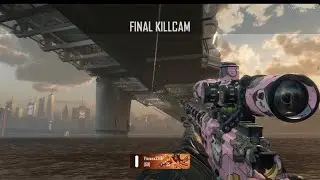 Skree To Jnac combo (missed anims) Bo2 Revamped