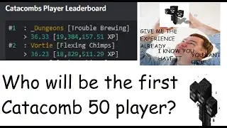 The Race for Catacomb 50 (Hypixel Skyblock)